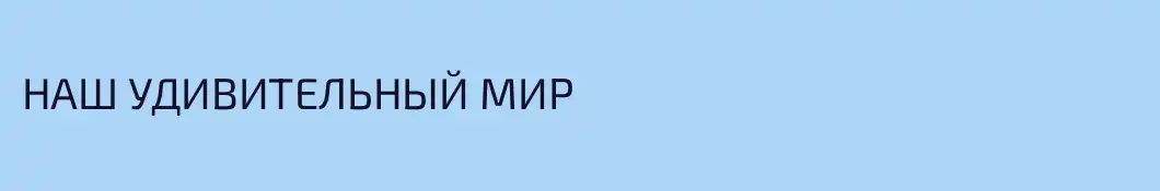 НАШ УДИВИТЕЛЬНЫЙ МИР